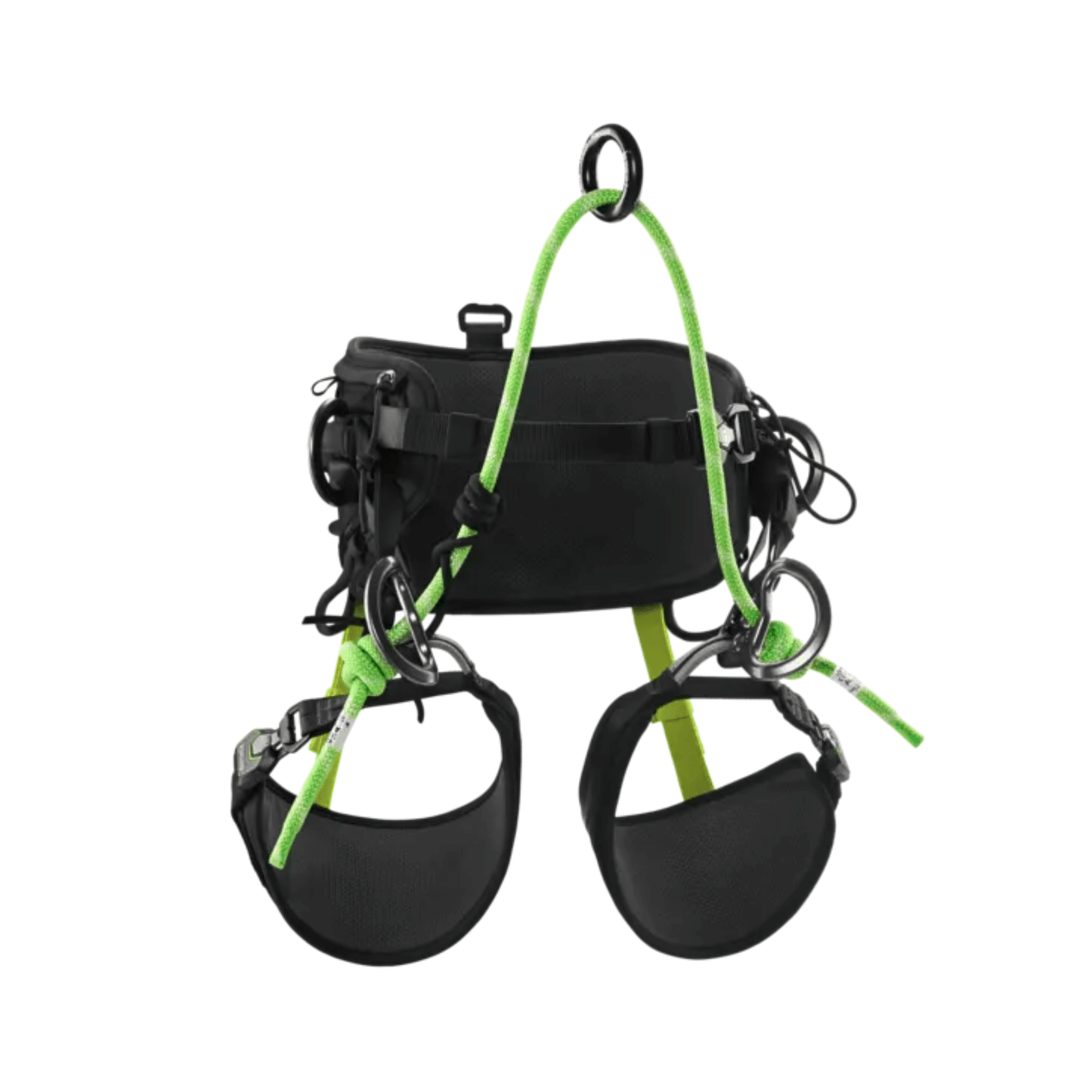 TreeRex II Tree Climbing Harness