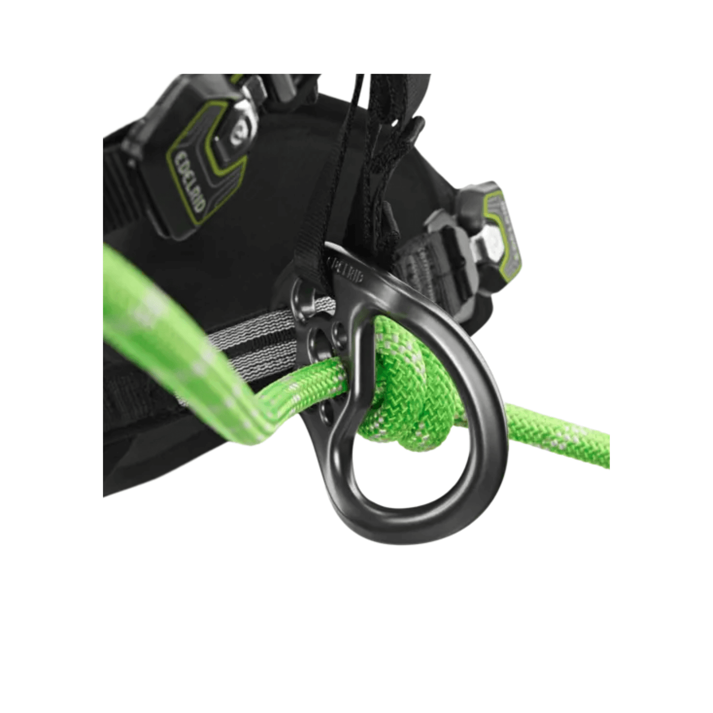 TreeRex II Tree Climbing Harness