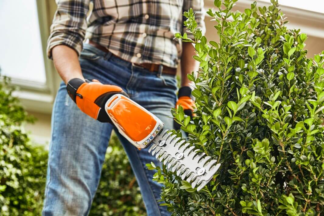 HSA 26 Cordless Shrub Grass Shears