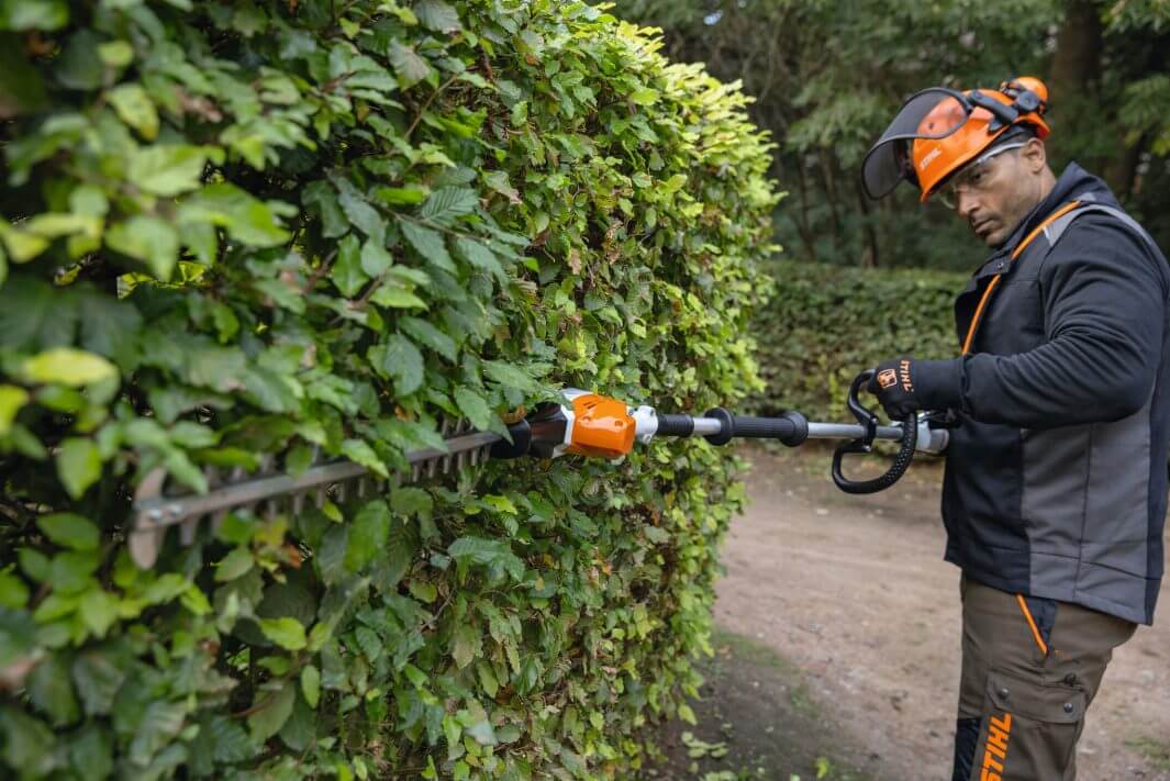 HLA 66 Cordless Long Reach Hedge Trimmer
