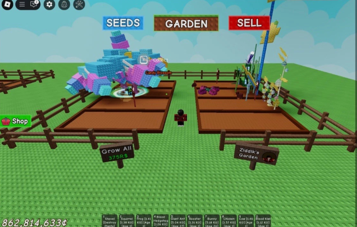 Grow A Garden | π¬ 2 Candy Blossom πΈ | In Garden | RARE AND CHEAP