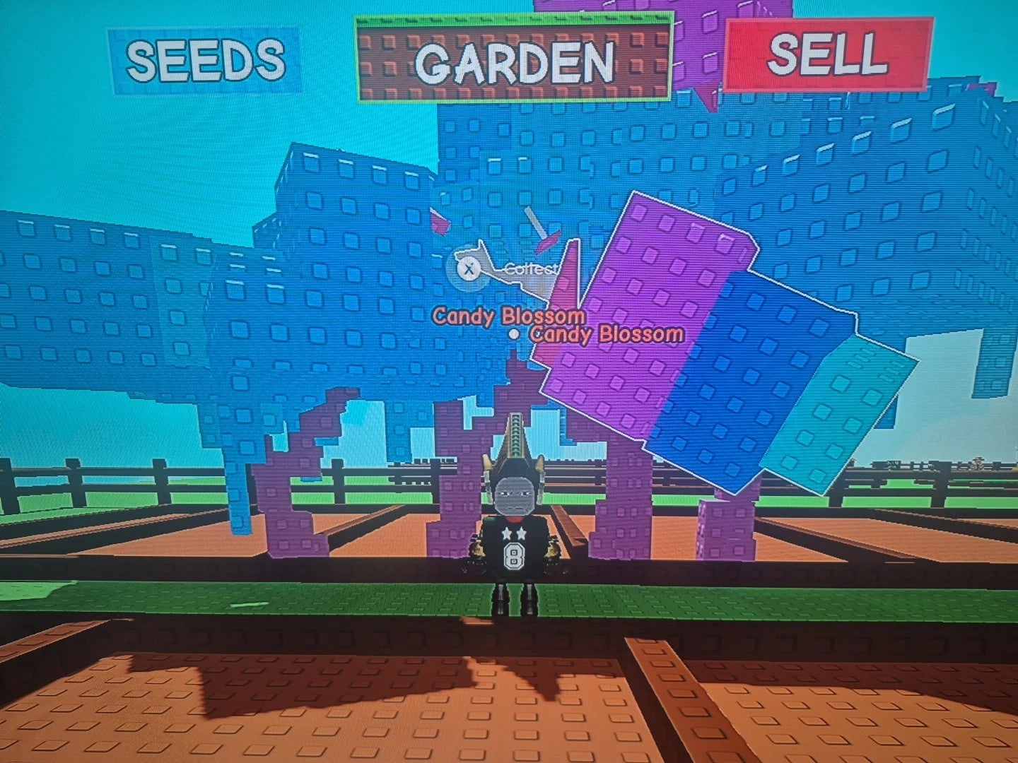 Candy Blossom Account Grow A Garden (4 Candy Blossoms)