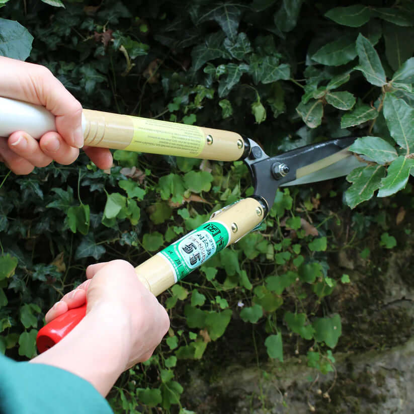 Okatsune 216 Hedge Shears