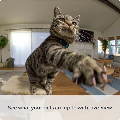 Ring Pan-Tilt Indoor Camera | Plug-In Pet Security Camera | 360° pan & 169° tilt coverage, Manual Privacy Cover, HD video, Two-Way Talk, Wi-Fi | 30-day free trial of Ring Home