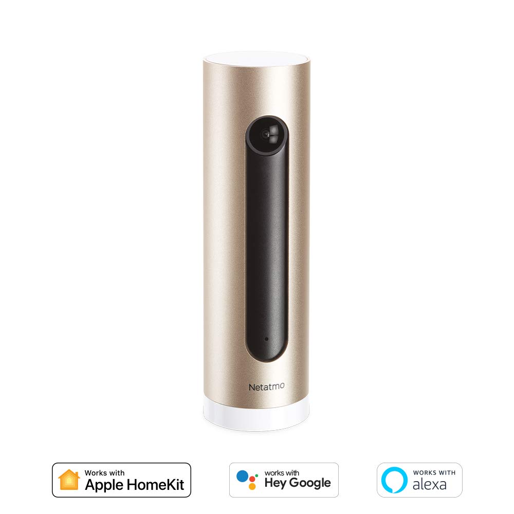 Netatmo Smart Indoor Security Camera, WIFI, Movement Detection, Night Vision, Without Fees, NSC01-UK (Welcome)
