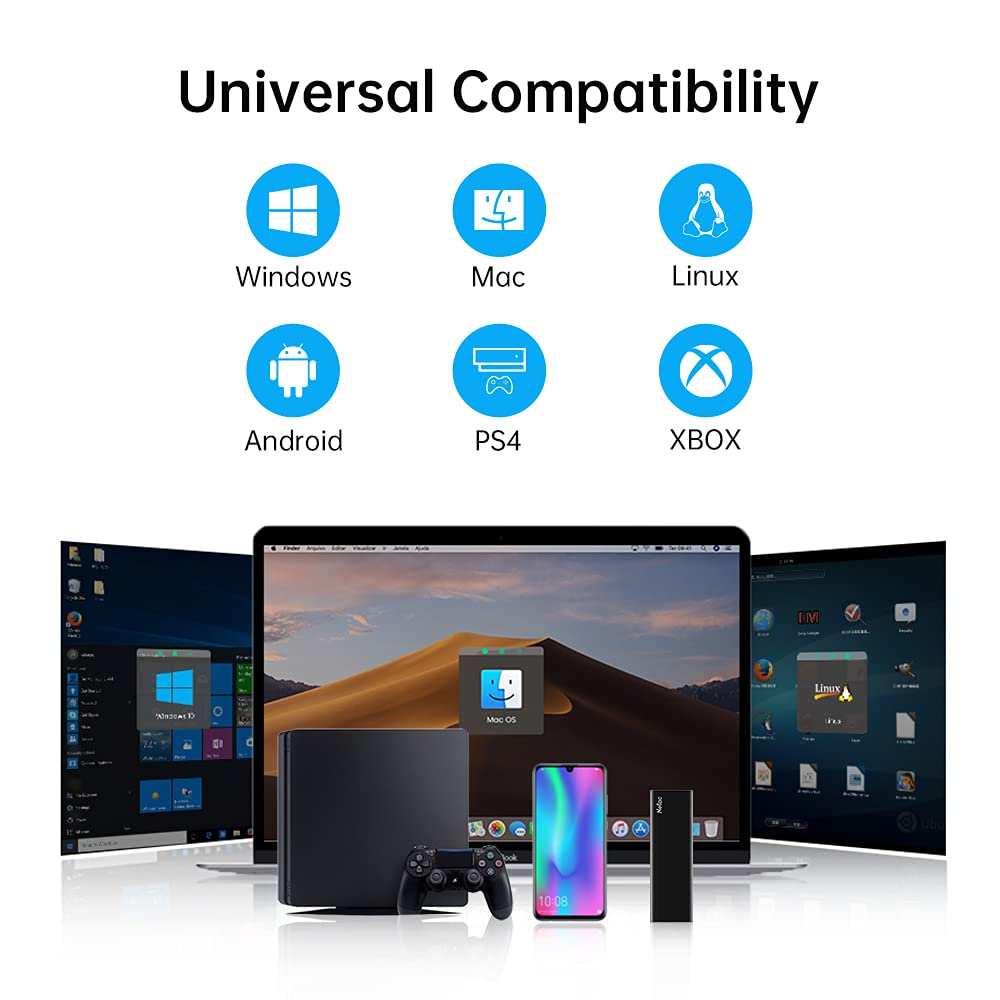 Netac Portable SSD 500GB USB 3.2 Gen 2 (10 Gbps, Type-C) External Solid State Drive External Hard Drive,Mobile SSD 500GB, Business Travel Essential, Deep Black