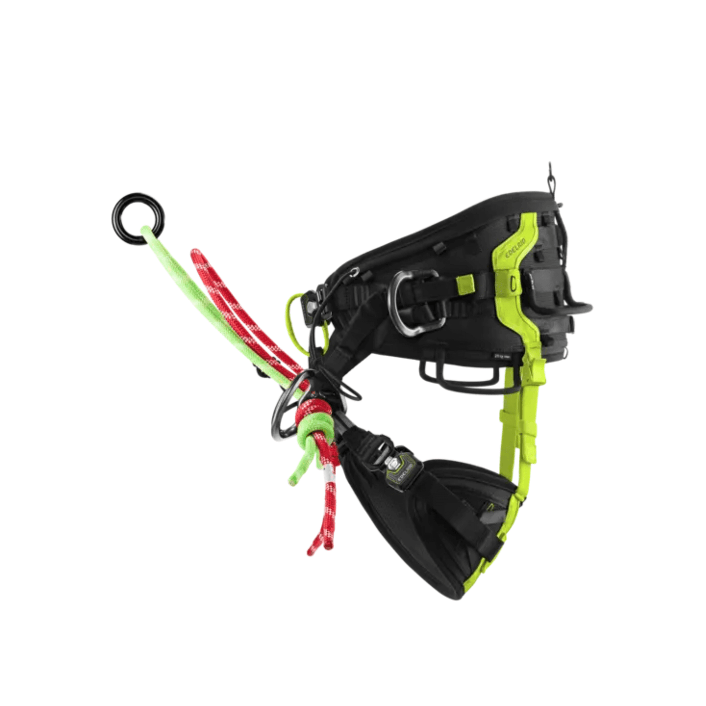 TreeRex II Tree Climbing Harness