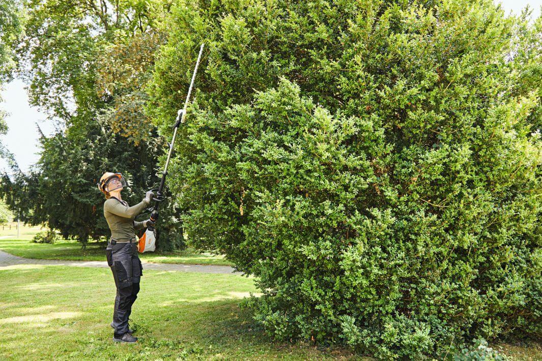 HLA 135 Cordless Long-Reach Hedge Trimmer