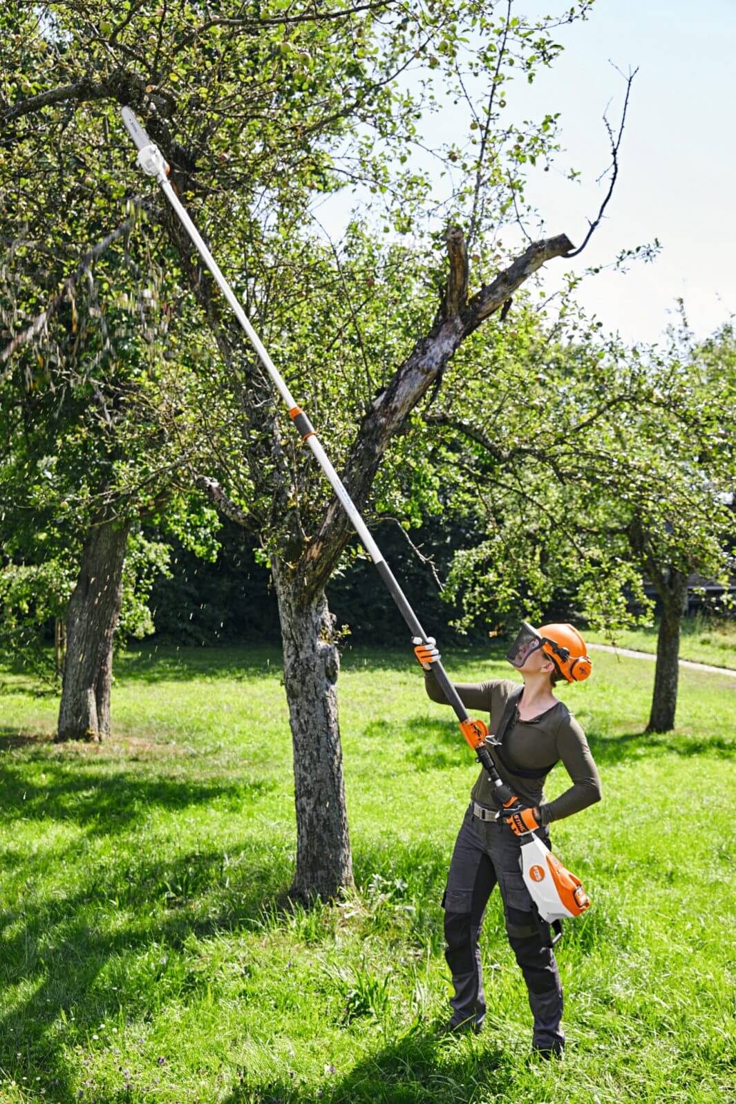 HTA 135 Cordless Pole Pruner