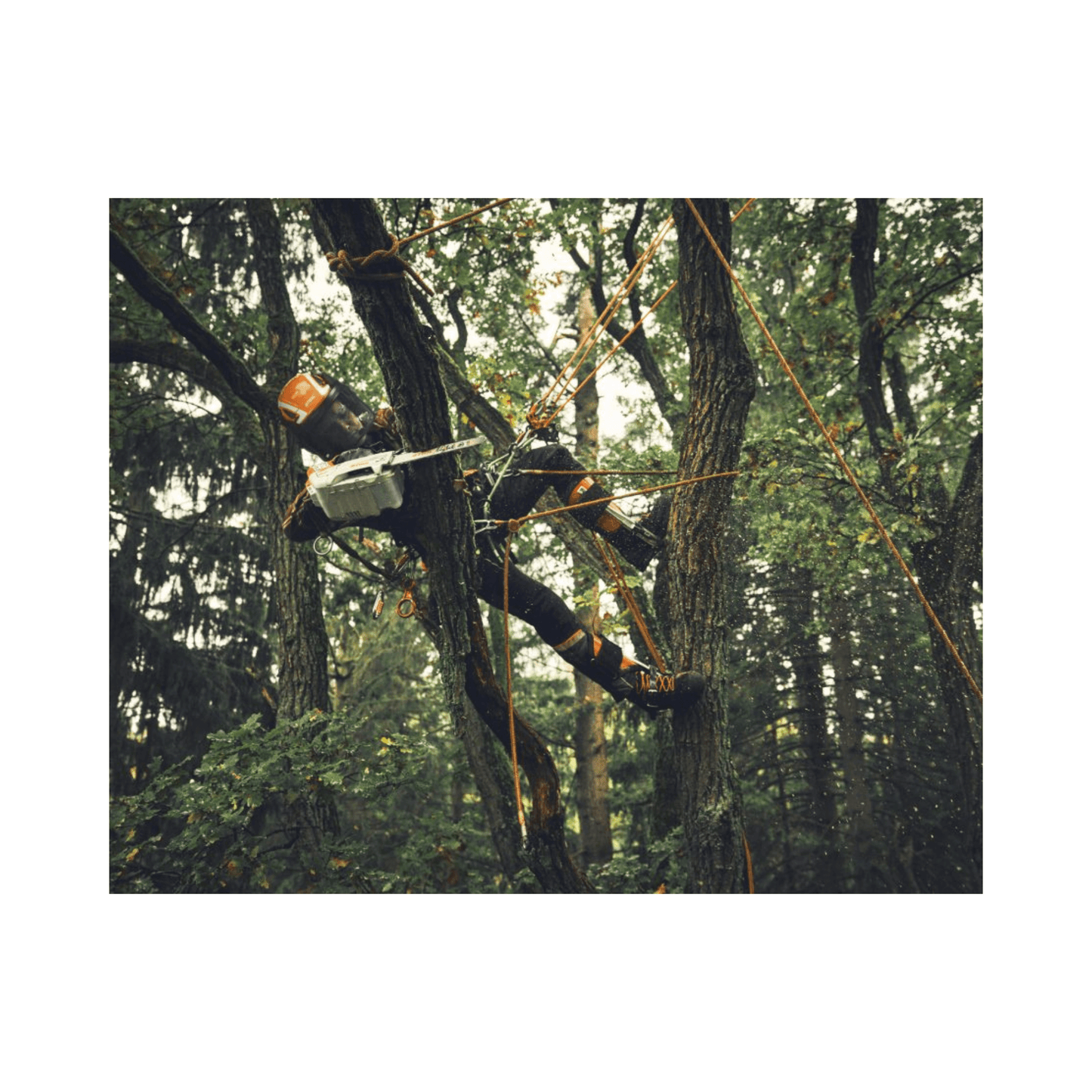 MSA 190 T Cordless Top Handle Chainsaw