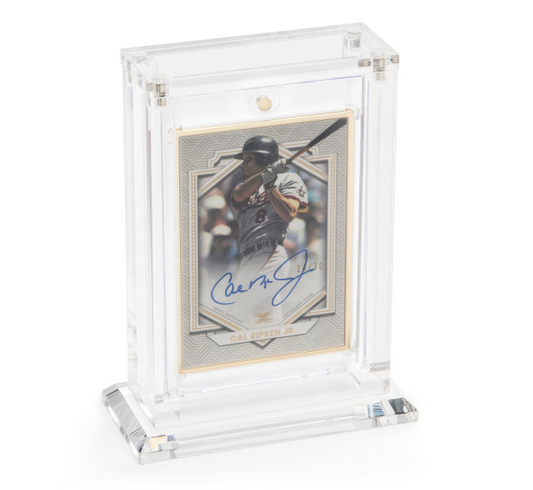 1 Card Vertical Magnetic Holder - Shop at xdovtoxtgo