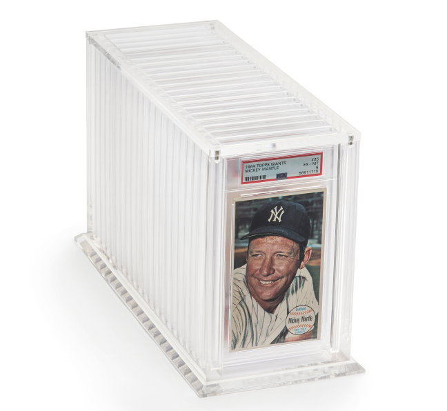 20 Graded Tall Boy Cards - Shop at xdovtoxtgo